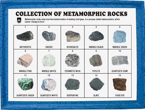 MR15PM Collection of 15 Metamorphic Rocks PM.jpg (1778×1357) | Rock ...