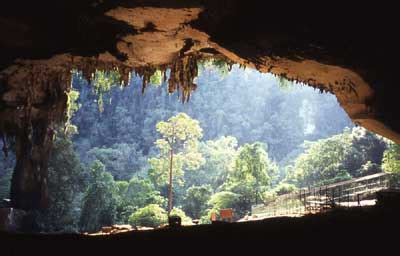 Niah Cave, Sarawak, Borneo - World Archaeology