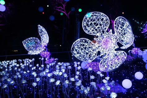 Philadelphia Zoo Lights Up the Night with LumiNature