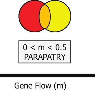 1. Speciation models on the basis of geography and gene flow. Each... | Download Scientific Diagram