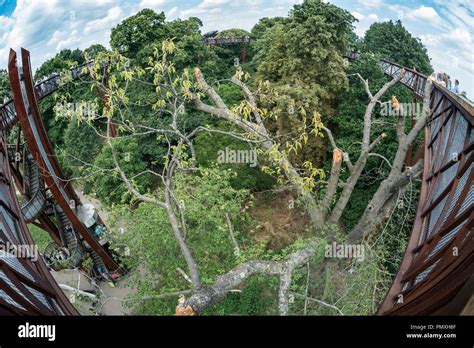 Tree Top Walkway - Kew Gardens Stock Photo - Alamy