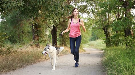 Study finds that dog owners walk nearly 4 times more than non-owners