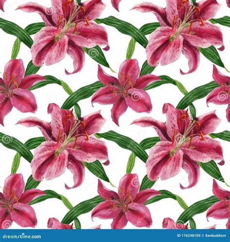 Stargazer Lily Watercolor Seamless Pattern Stock Illustration - Illustration of pink, tropical ...