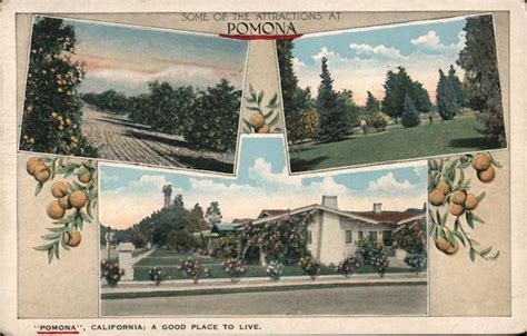 Some of the Attractions at Pomona California Postcard