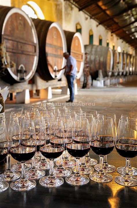 Images of Portugal | Colares Regional Cellar, of the famous Colares wine. Sintra, Portugal