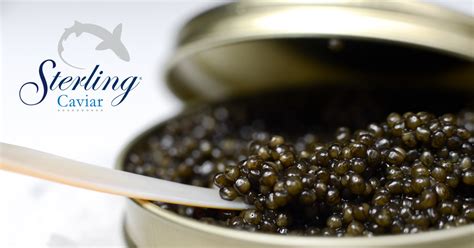 Recipes - Caviar Recipe Blog From Top Chefs Nationwide | Recipes, Caviar recipes, Dinner recipies