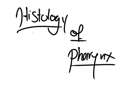 SOLUTION: Histology of pharynx and esophagus - Studypool