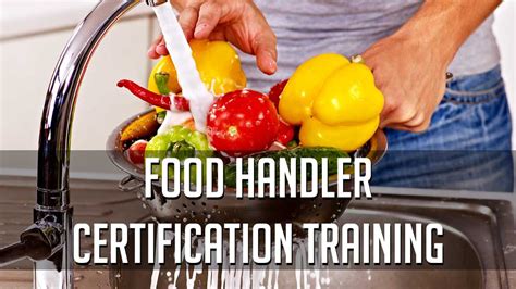 Food Handler Certification Training | Collingwood Youth Centre