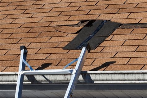 Asphalt Roof Shingles in Vancouver | Asphalt Roofing by Marks Roofing