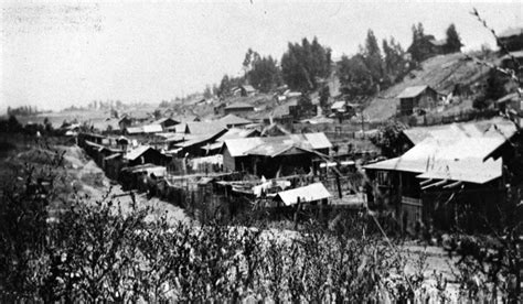 Panoramic view of the Fickett Street colony, showing a number of bungalows built in a canyon in ...