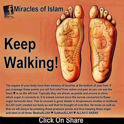 119 best images about Scientific Islam on Pinterest | Medicine, Holy ...