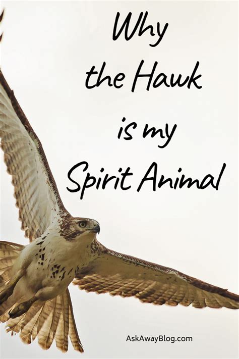 Ask Away Blog: Why the Hawk is My Spirit Animal