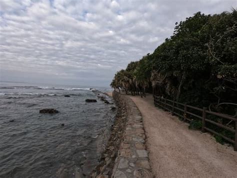 The coast view in Aoshima island - Photos by Canva