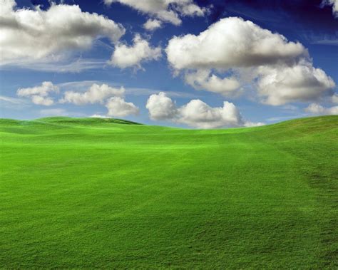 Green Fields - Green Wallpaper (20340138) - Fanpop