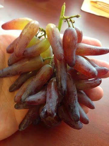 The Reckless Gastronome: Grapery Witch Fingers Grapes