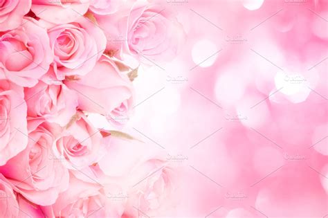 Sweet pink rose background | High-Quality Nature Stock Photos ~ Creative Market