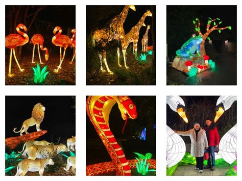 Shoreline Area News: Destinations: Wild Lanterns at Woodland Park Zoo