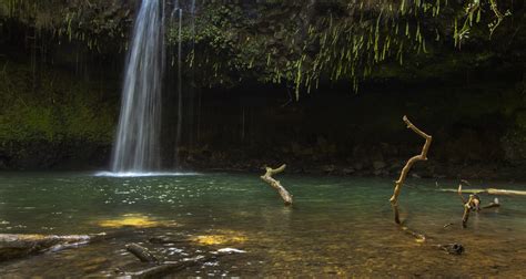 Twin Falls - Maui - Hiking Trail Guide - The Simple Hiker