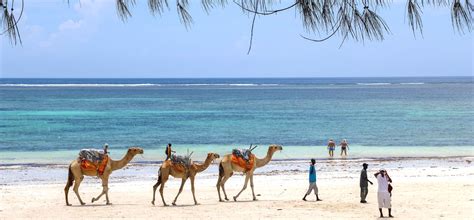 Diani Beach - Wild Times Safaris