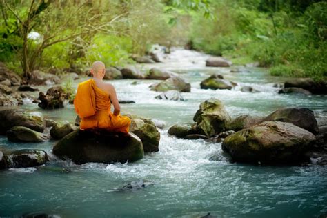 Meditation Waterfall Images – Browse 35,239 Stock Photos, Vectors, and ...