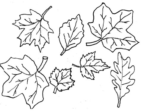 20+ Free Printable Fall Leaves Coloring Pages - EverFreeColoring.com