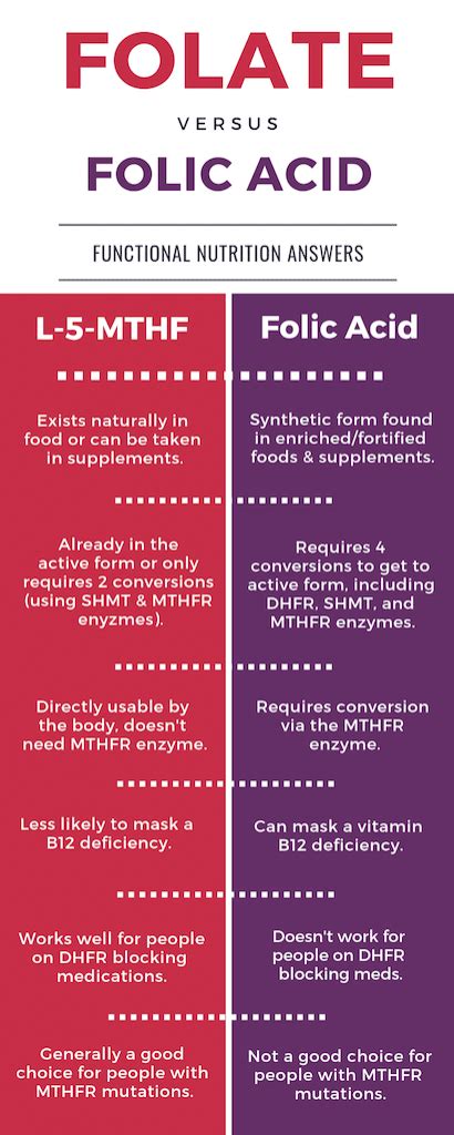 Folate vs Folic Acid: How Are They Different? (Why you should care!)