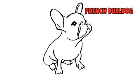 20 Easy French Bulldog Drawing Ideas – How To Draw