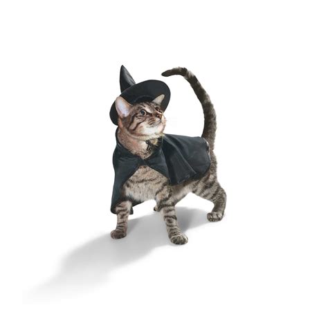 Bootique Witch Costume for Cats, X-Small | Petco