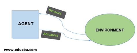 Intelligent Agents | Types and Rules of Intelligent Agents | Structure