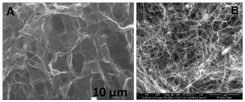 Electrocatalysis and the Production of Nanoparticles | IntechOpen