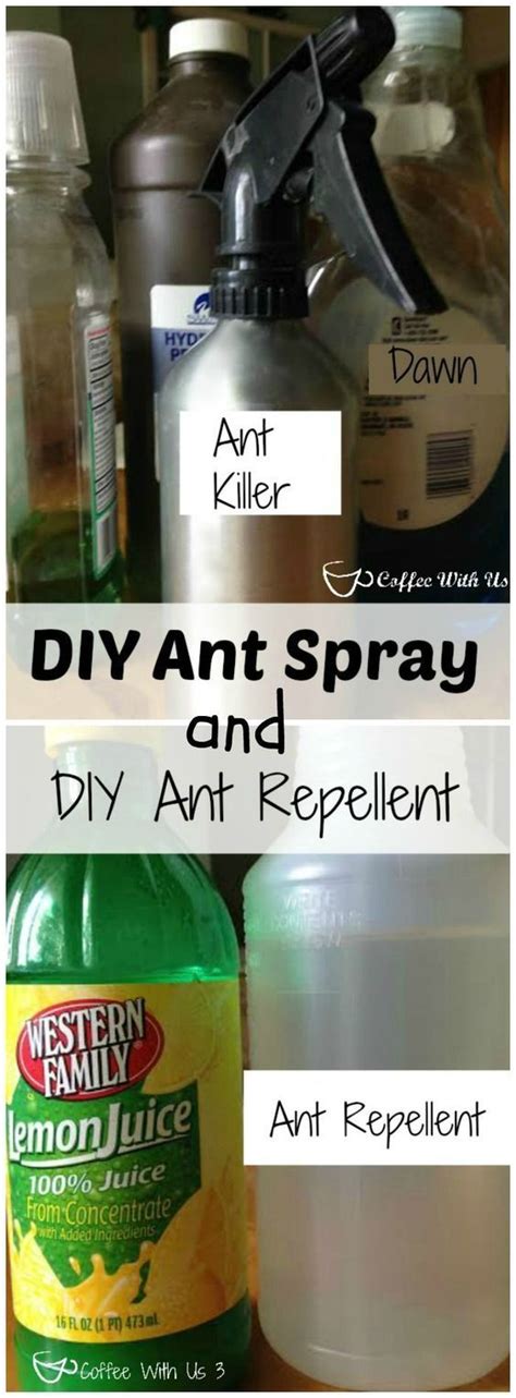 DIY Ant spray & Ant Repellent using common household items. Get rid of those ants and keep them ...