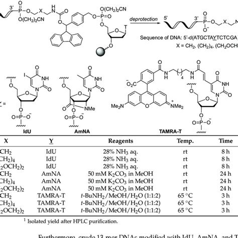 (PDF) Development of Phosphoramidite Reagents for the Synthesis of Base ...