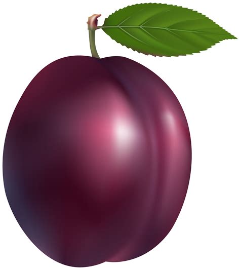 Plum PNG Clip Art - Best WEB Clipart