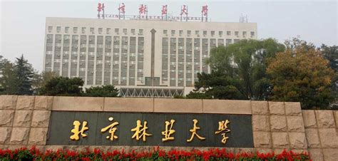 Beijing Forestry University - Scholarship programms for 2020 - 2021 year