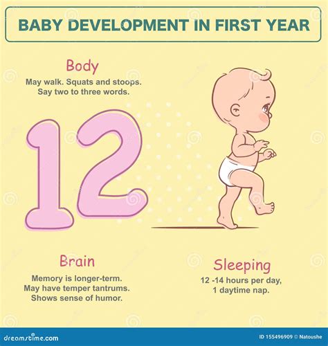 Baby Development Up To 12 Months Hotsell | dakora.com.co