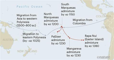 Polynesians, Native Americans Met Long Before Europeans Arrived, Genetic Study Reveals ...