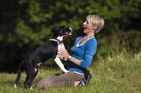 Border CollieTraining Archives - BorderCollieHealth