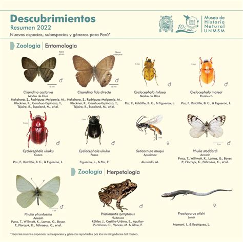 Investigadores de San Marcos descubrieron 30 especies nuevas para Perú ...