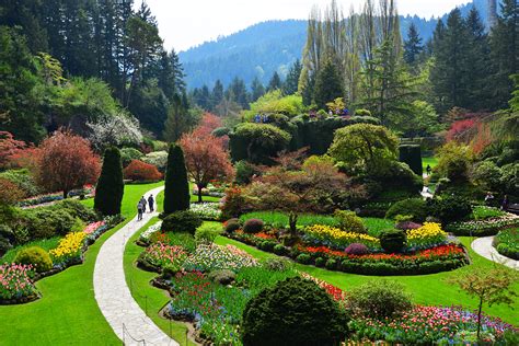 Spring Garden Insights - The Butchart Gardens