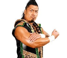 Shingo Takagi: Profile, Career Stats, Face/Heel Turns, Titles Won & Gimmicks | Pro Wrestlers ...