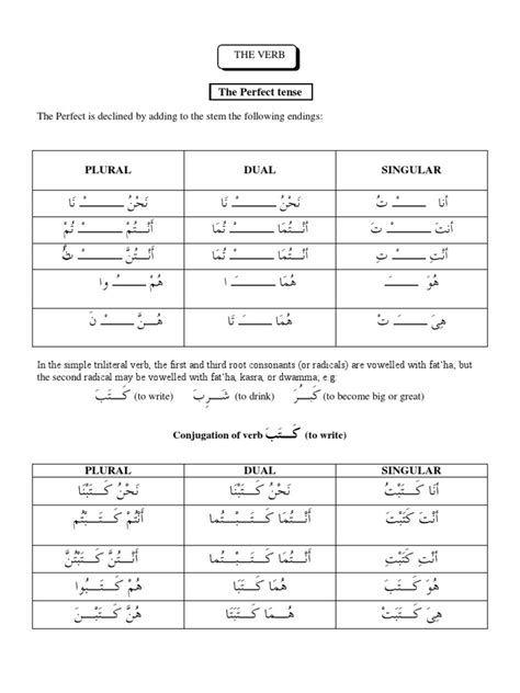 Basic Arabic Grammar for Beginners | Grammatical Number | Grammatical ...