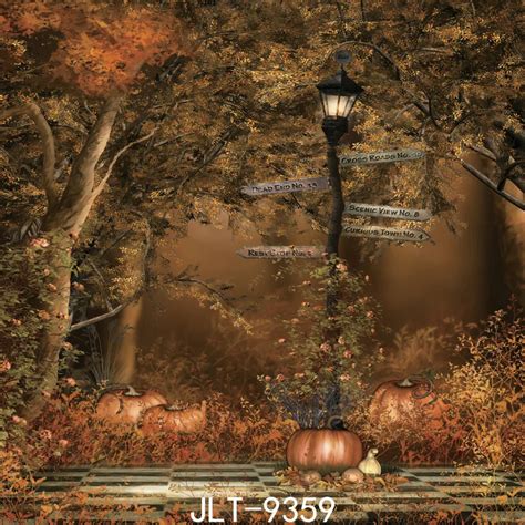 Pumpkin Autumn Vinyl Photography Halloween Backgrounds Computer Printed ...