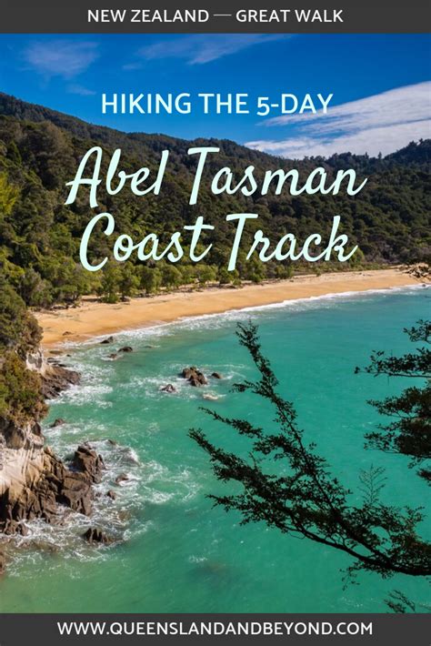 Hiking the 5-Day Abel Tasman Coast Track | Best beaches to visit, Hiking new zealand, Great walks