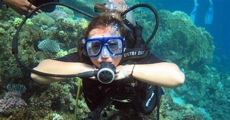 Sharm El-Sheikh: Scuba Dive Introduction from the Shore | GetYourGuide