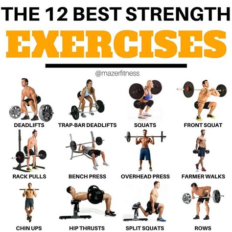 Exercise Rules for Beginners Who Want To Be Fit | Strength workout, Workout machines, Weight ...