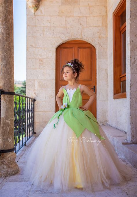 Princess and the Frog Costume Princess Tiana Dress Disney - Etsy UK