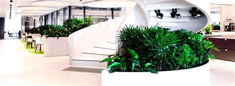 Indoor Plants and Interior Landscaping | Ambius