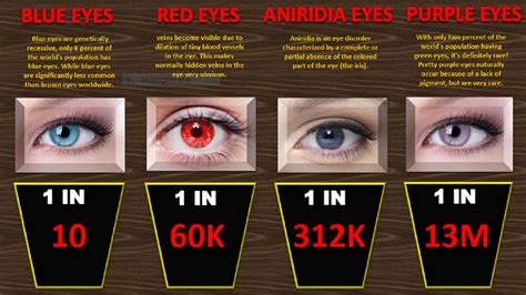 Eye Color Chart Percentage