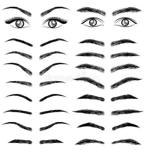 Different Eyebrow styles | Dibujos de ojos, Ojos de hombre, Tipo de ceja