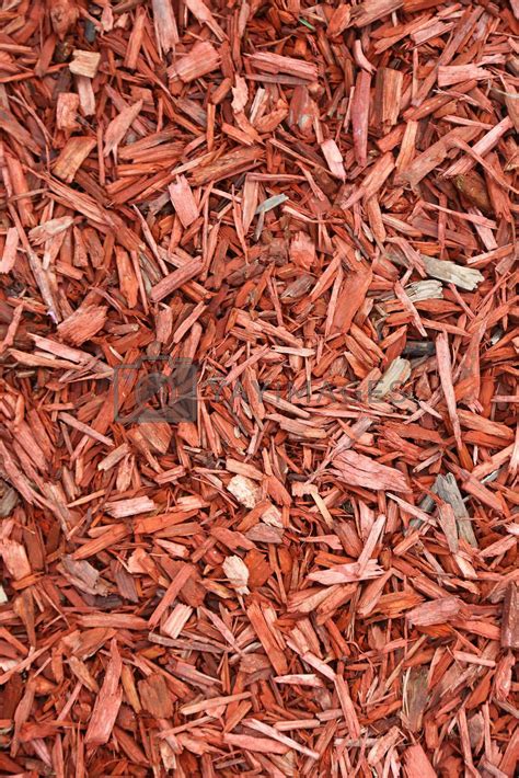 Red woodchips as textured background. by borodaev Vectors & Illustrations Free download - Yayimages